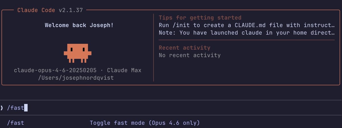 Claude Code CLI showing the option to enable "fast mode" by typing /fast